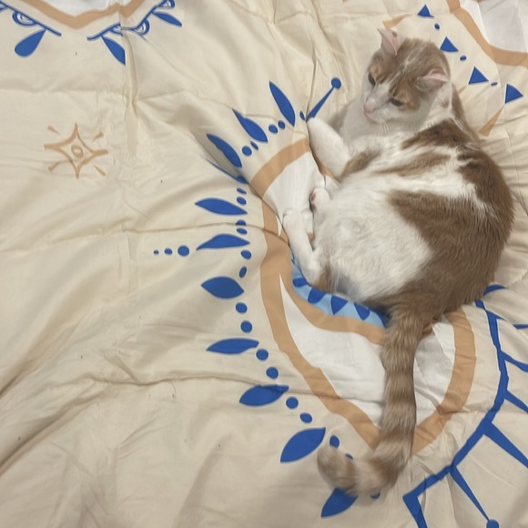 🎁Sunday 🛑Lots of Surprises! - Picture 15 of 16